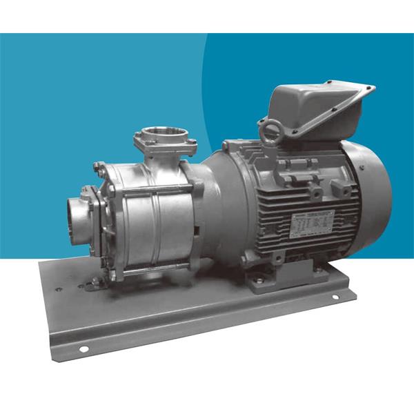 TERAL中～大流量/中揚(yáng)程冷卻泵LPSE401A-0.75-e