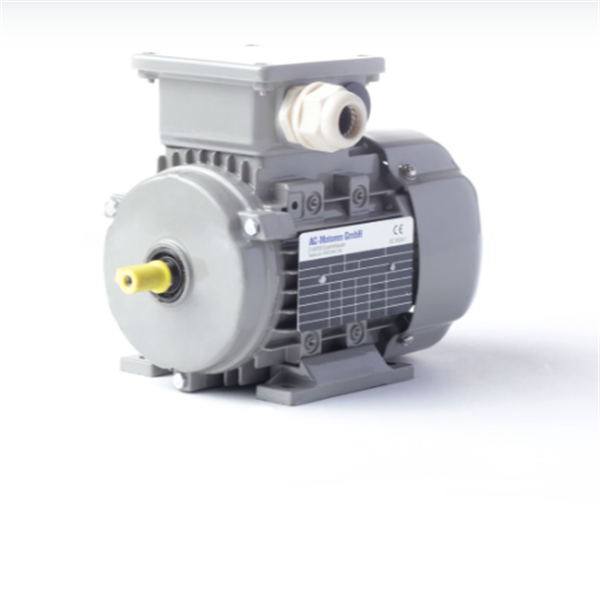 德國AC MOTOREN防火防爆電機E3-ASA 132 SA 2
